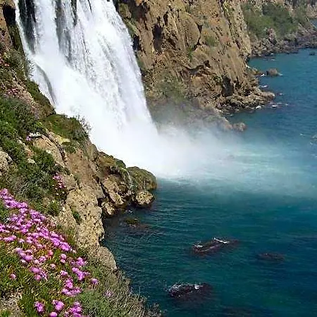 فندق Marka